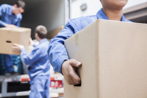 Students moving boxes during a Kingston removals service