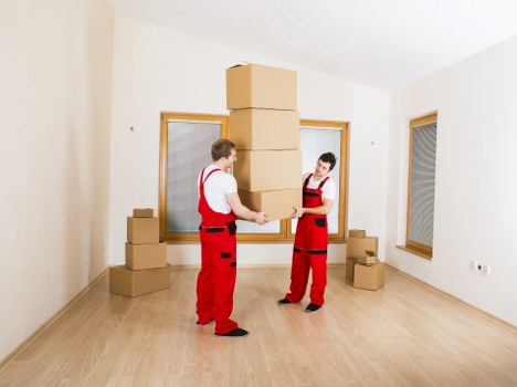 Packing and organizing items for storage in Kingston